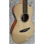 Faith FMEHG3 Hi-Gloss Mercury E Scoop Electro Acoustic Parlour Guitar (43mm  Nut) inc Hardcase - Promenade Music