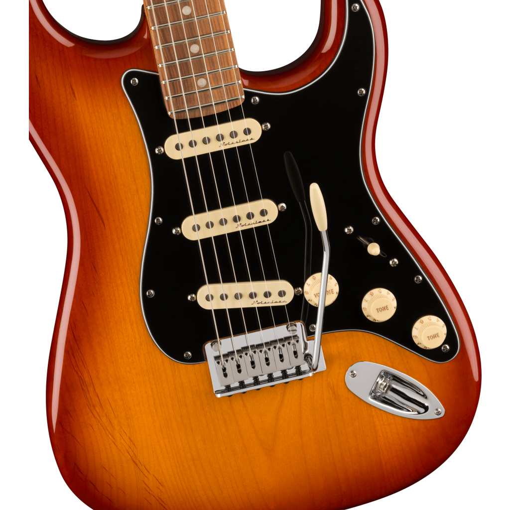 Fender Player Plus Stratocaster, Sienna Sunburst - Promenade Music