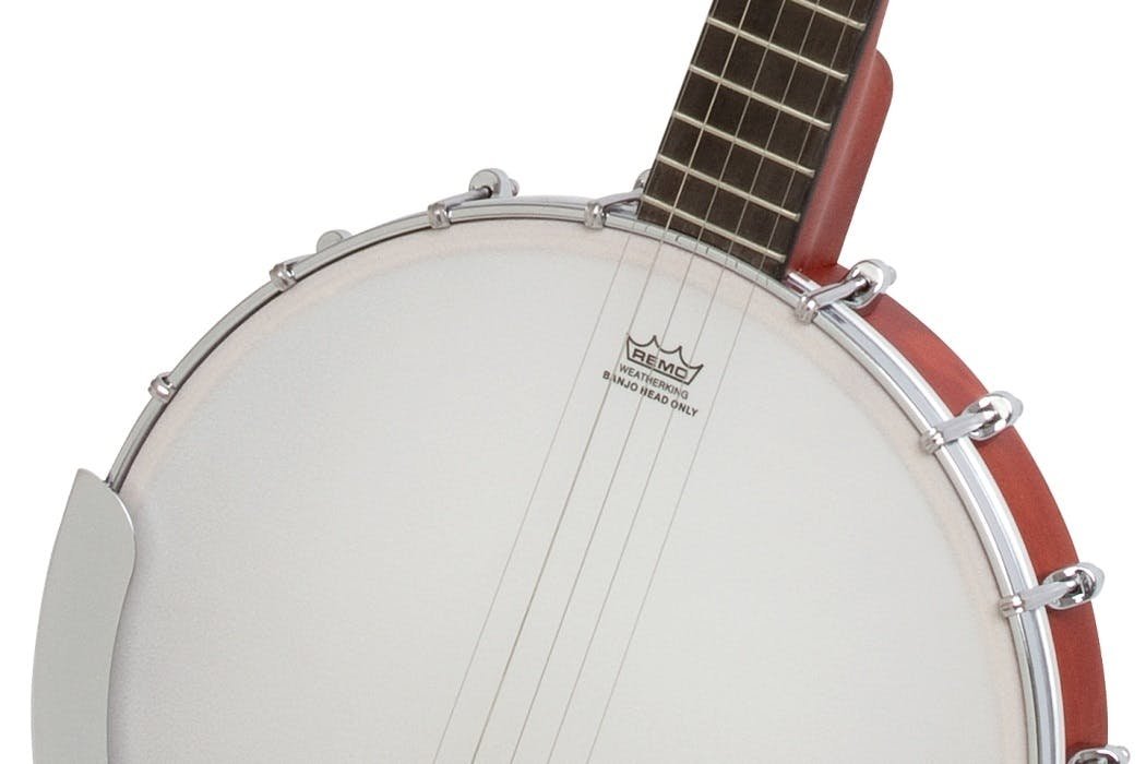 Epiphone MB100 5-String Banjo